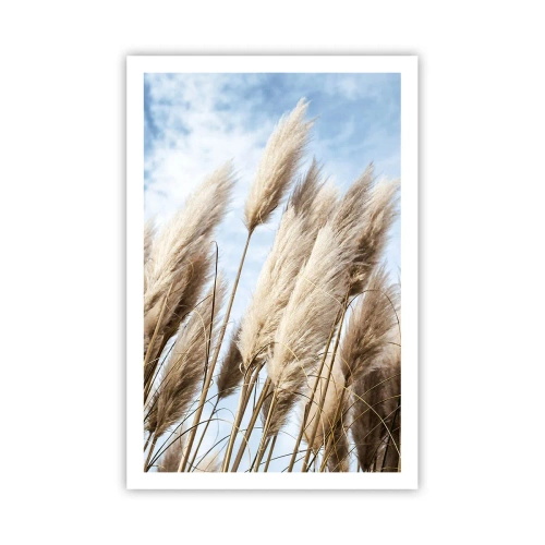 Plakat - Słoneczna i wietrzna pieszczota - 61x91 cm