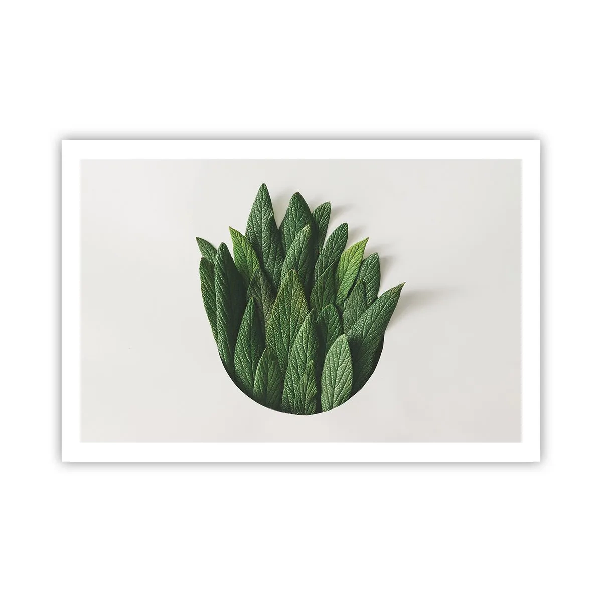 Plakat - Nieposkromiona ciekawość - 91x61 cm