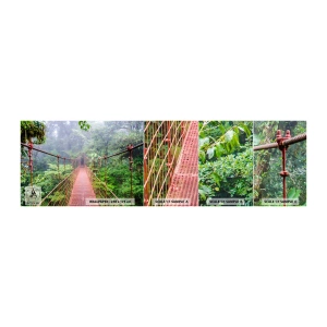 Fototapeta Próbka Standard Eco - Zawieszony nad koronami - Krajobraz, Dżungla, Kostaryka - 100x30 cm