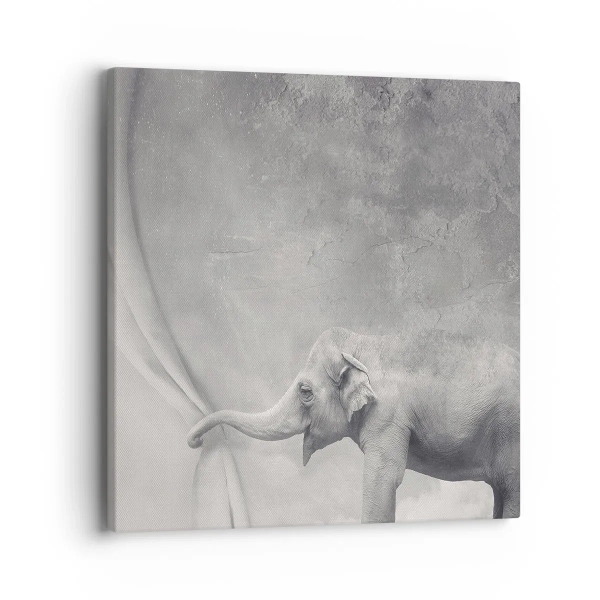 Obraz na płótnie - Odsłonić tajemnicę - 40x40 cm