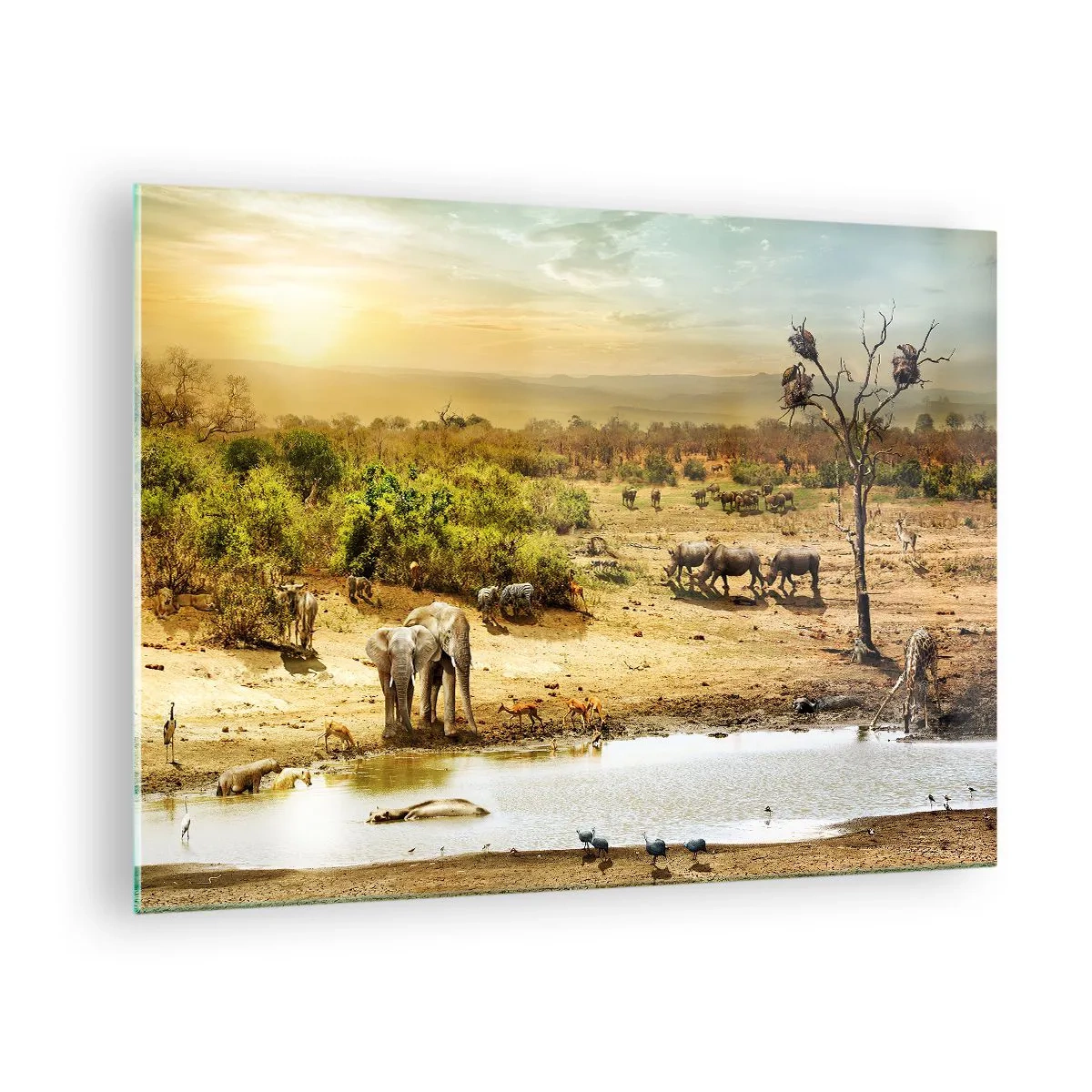 Obraz na szkle - Słonie i zwierzęta przy wodopoju na tle afrykańskiego krajobrazu - 70x50cm - "Z Edenu zaś wypływała rzeka…" - Nowoczesna dekoracja ścienna do salonu i sypialni ARTTOR