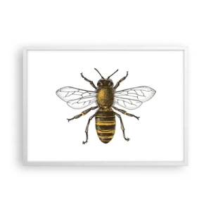 Plakat w białej ramie - Piękna i dobra - 70x50 cm