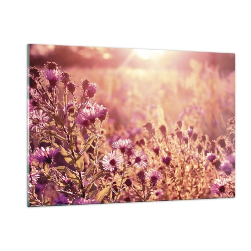 Obraz na szkle - Fioletowe kwiaty na łące w świetle zachodzącego słońca - 120x80cm - Przed odejściem lata - Nowoczesna dekoracja ścienna do salonu, kuchni i sypialni ARTTOR