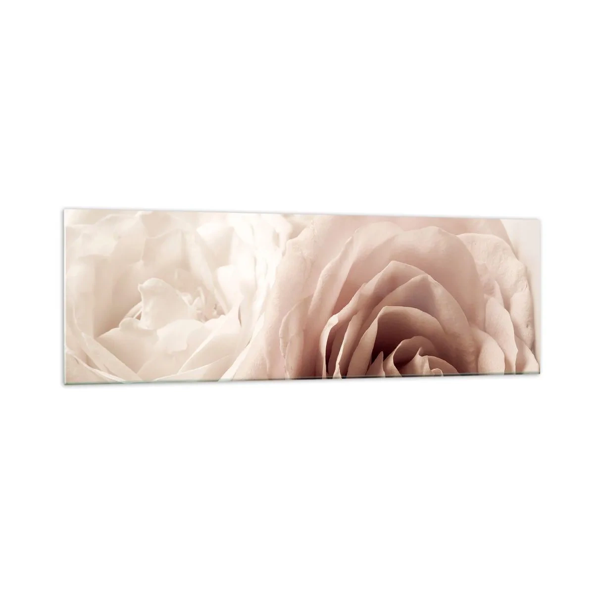 Obraz na szkle - Delikatne róże w pastelowych odcieniach beżu - 160x50cm - W sercu róży - Nowoczesna dekoracja ścienna do salonu i sypialni ARTTOR
