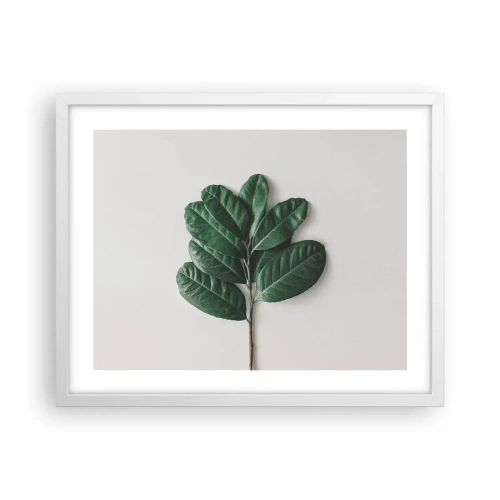Plakat w białej ramie - Rysunek samej natury - 50x40 cm