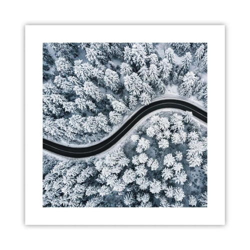Plakat - Przez zimowy las - 40x40 cm