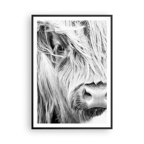 Plakat w czarnej ramie - Szkocka dzikość - 70x100 cm