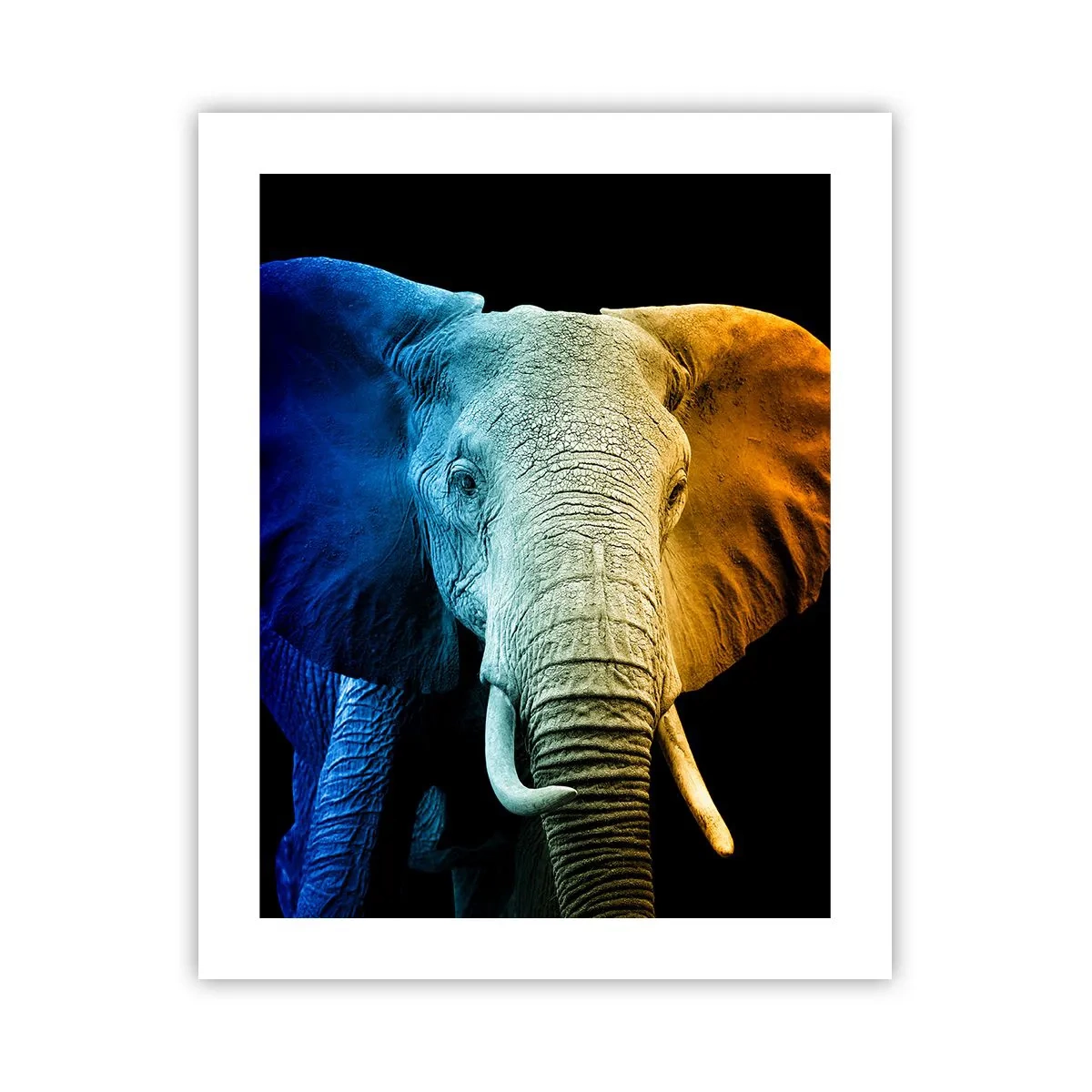 Plakat - Ekscentryk, nie dziwak - 40x50 cm