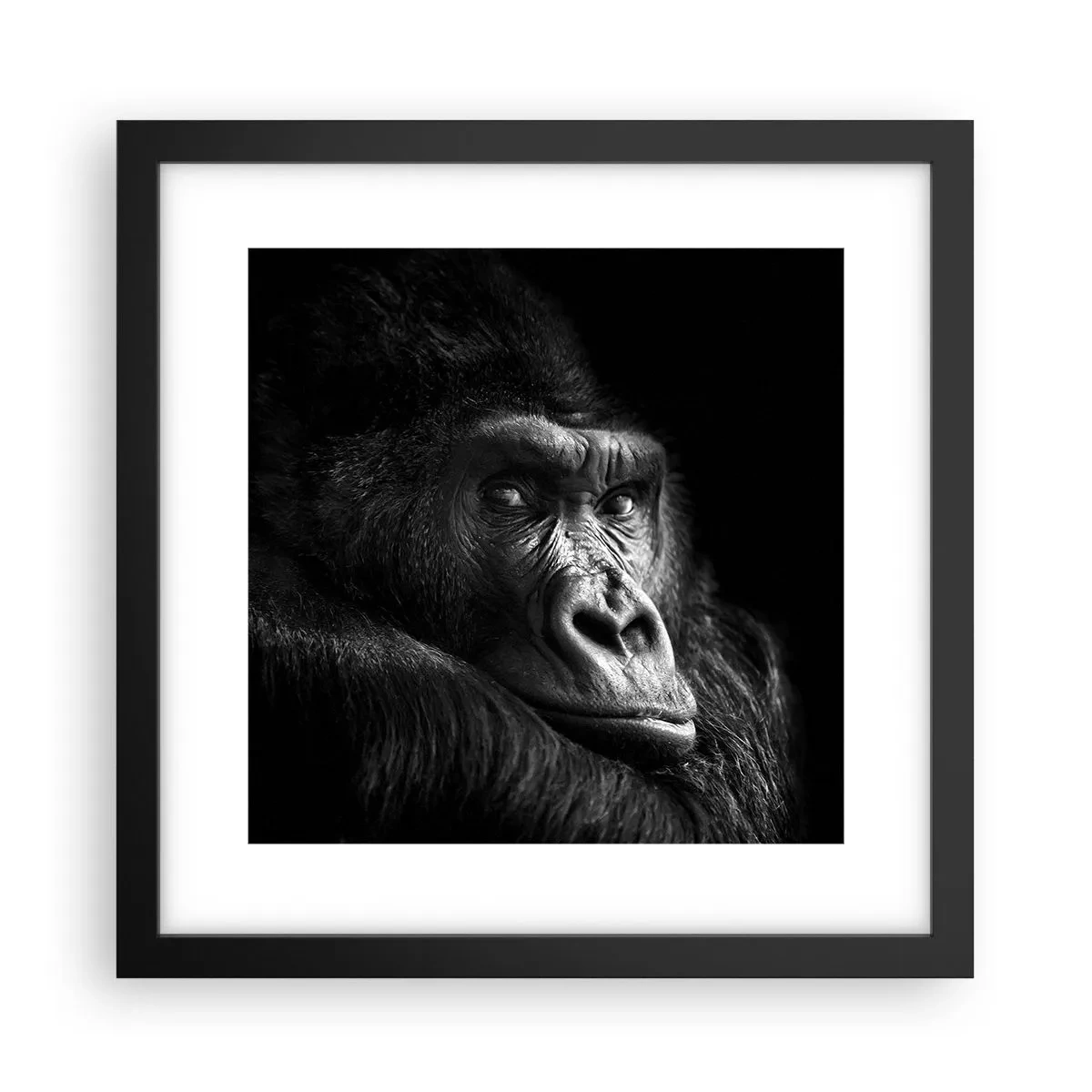 Plakat w czarnej ramie - I co się patrzysz? - 30x30 cm