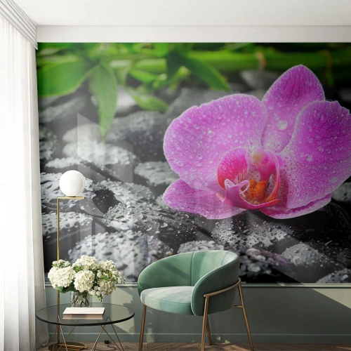 Fototapeta Samoprzylepna Deluxe Sticker - Jak otwarte serce - Kwiaty, Orchidea, Storczyk - 100x70 cm