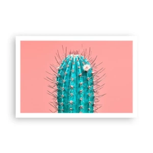 Plakat - Tylko patrz - 91x61 cm