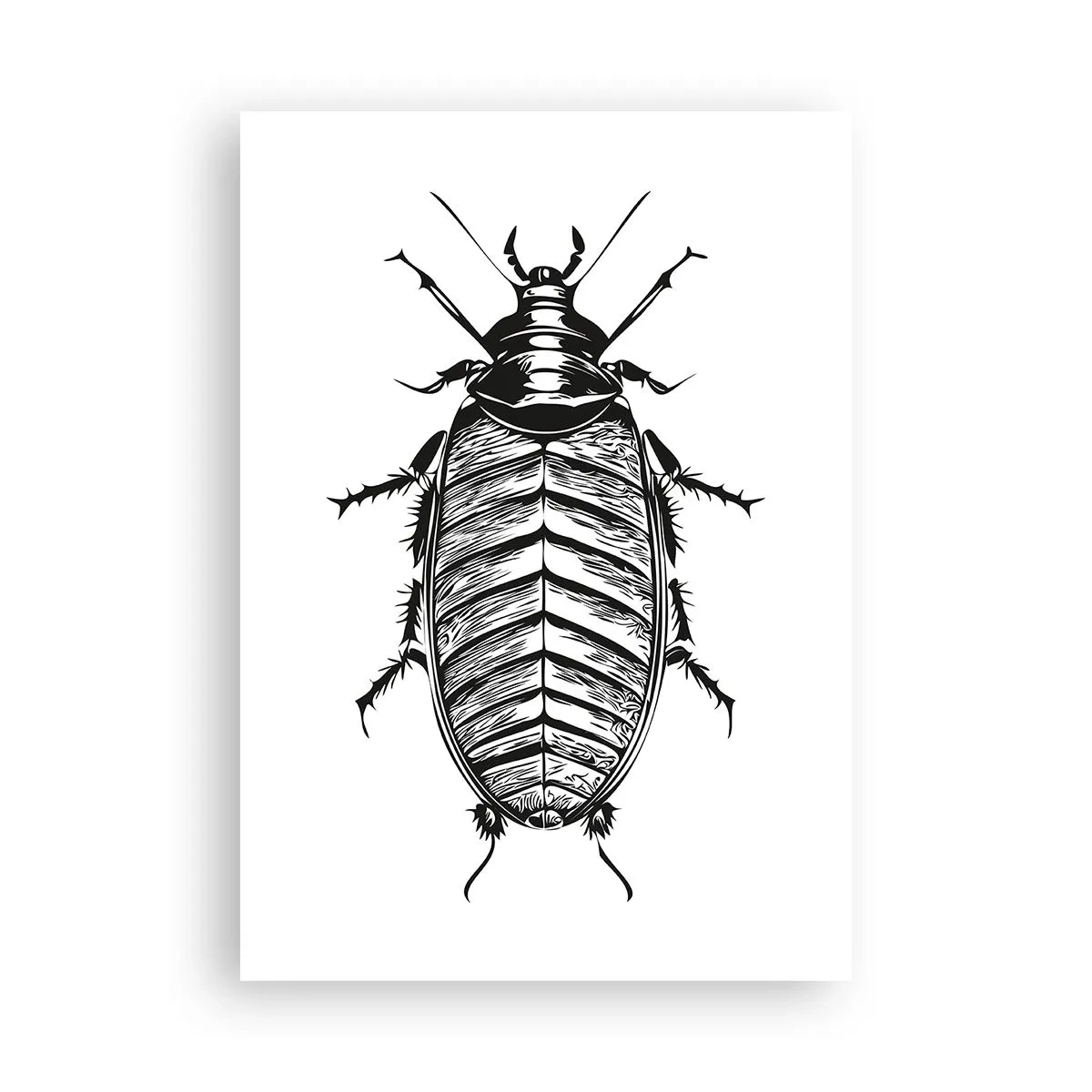 Plakat - Co za okaz! - 70x100 cm