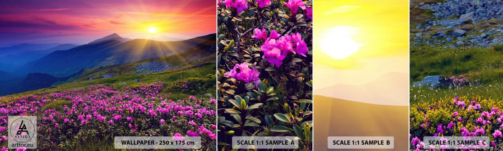 Fototapeta Próbka Standard Eco - … A dokoła pachnie kosodrzewina i wonieją zioła - Krajobraz, Góry, Zachód Słońca - 100x30 cm