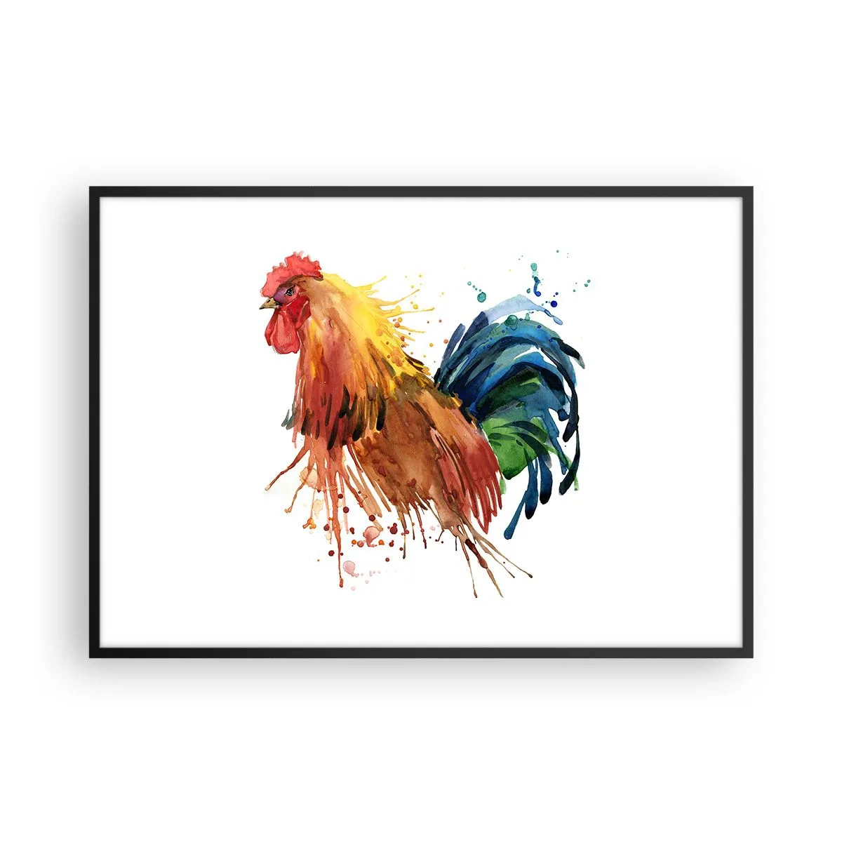 Plakat w czarnej ramie - Kolorowy kogut w akwarelowym stylu - 100x70cm - Królewska szata, królewska duma - Nowoczesna dekoracja ścienna do salonu i sypialni ARTTOR