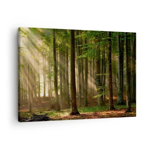 Obraz na płótnie - Promienie słońca przenikające przez drzewa w lesie - 70x50cm - Rozpromieniony w wiosenny poranek - Nowoczesna dekoracja ścienna do salonu i sypialni ARTTOR