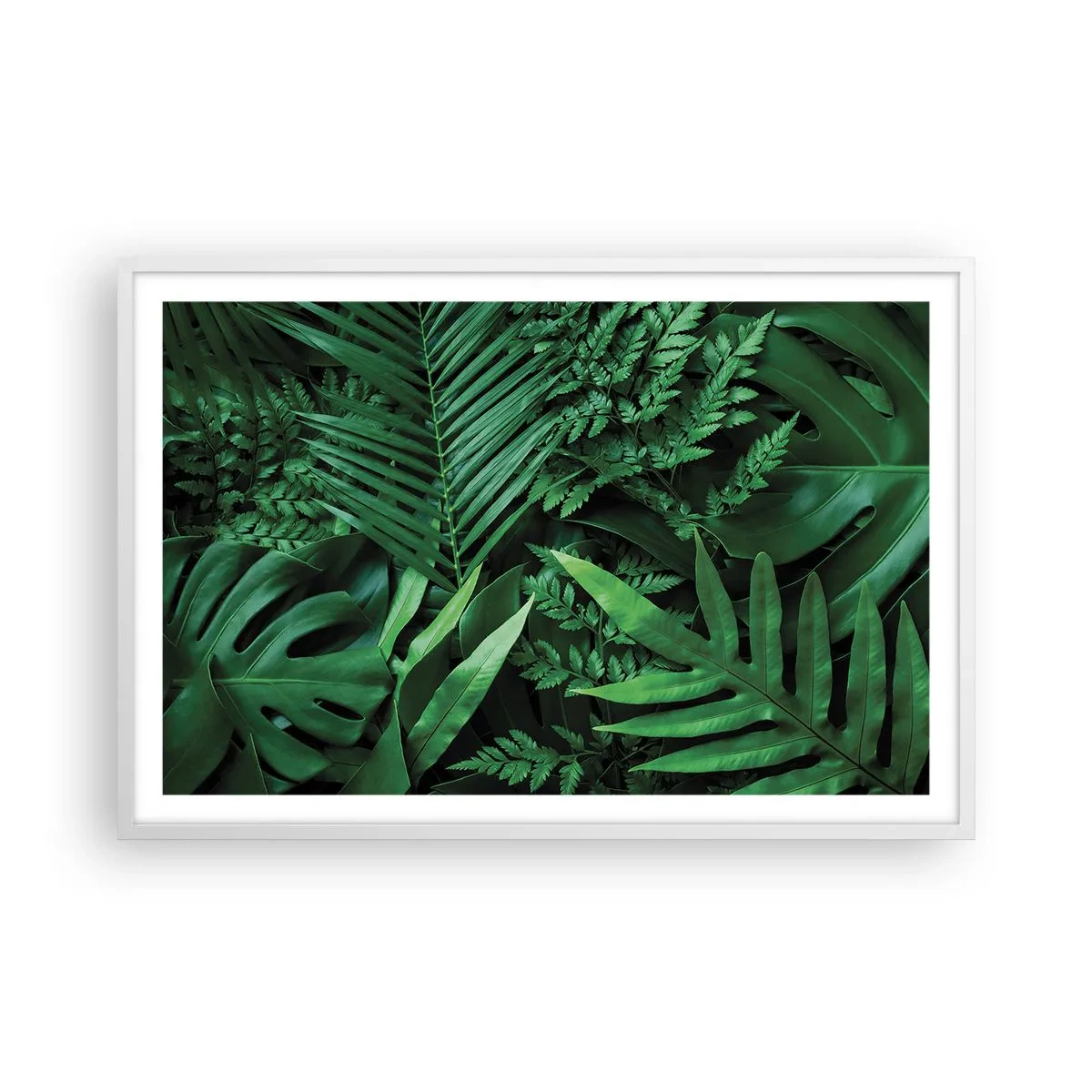 Plakat w białej ramie - Utulone w zieleni - 91x61 cm