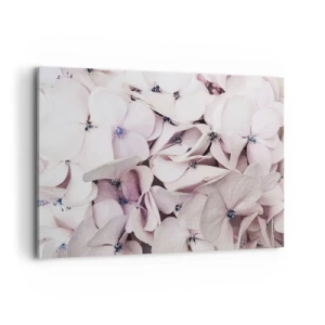 Obraz na płótnie - Delikatne białe hortensje w pastelowej tonacji - 120x80cm - W powodzi kwiatów - Nowoczesna dekoracja ścienna do salonu, kuchni i sypialni ARTTOR