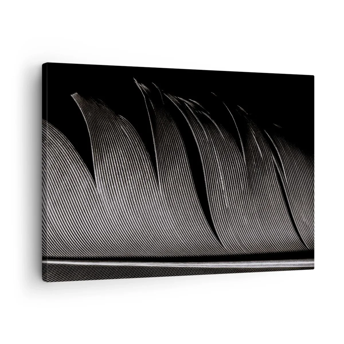 Obraz na płótnie - Czarno-biała tekstura pióra w minimalistycznym stylu - 70x50cm - Pióro – cudowna konstrukcja - Nowoczesna dekoracja ścienna do salonu i sypialni ARTTOR