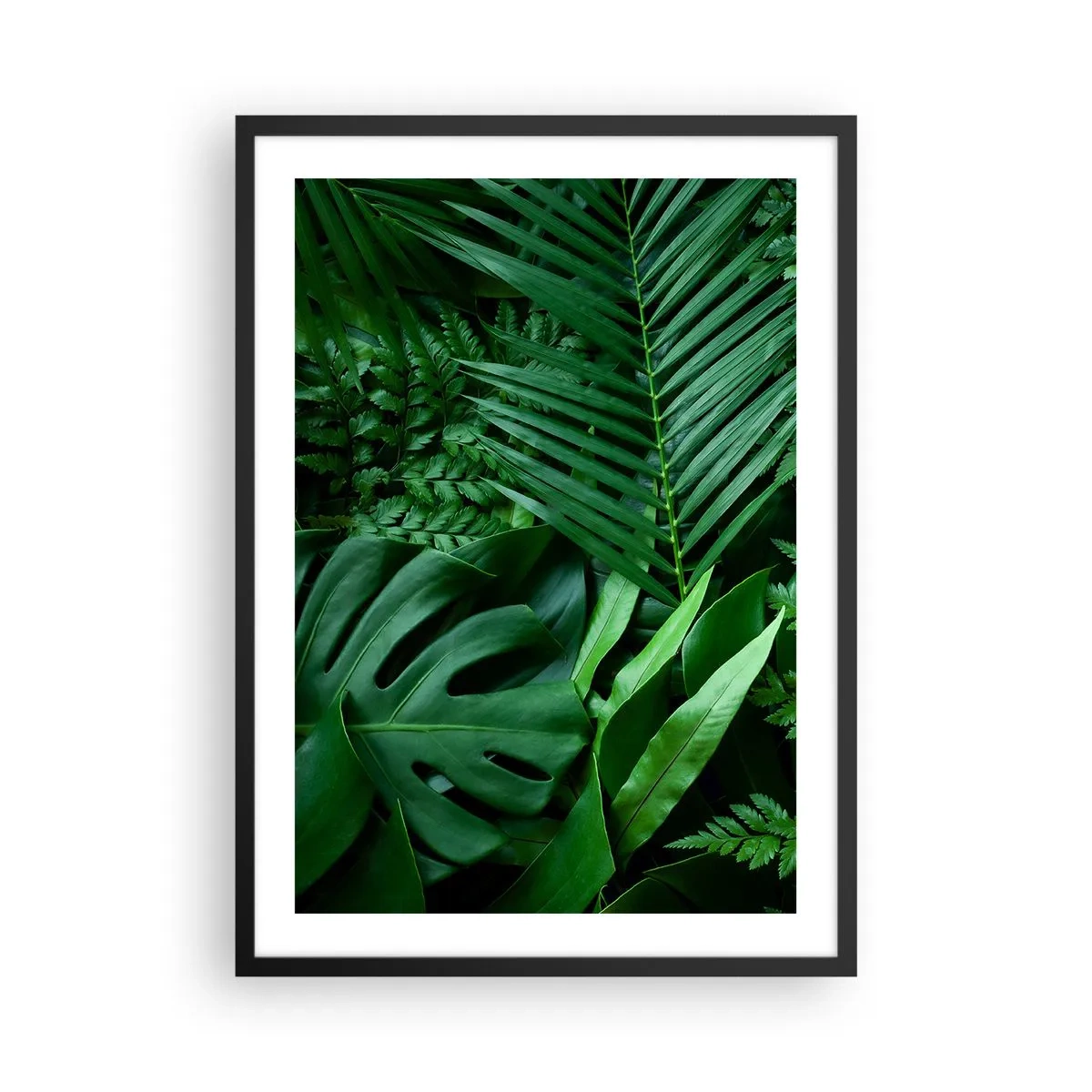 Plakat w czarnej ramie - Zielone liście paproci i palmy tworzące tropikalny wzór - 50x70cm - Utulone w zieleni - Nowoczesna dekoracja ścienna do salonu i sypialni ARTTOR