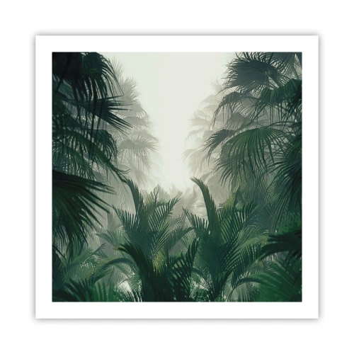 Plakat - Tropikalna tajemnica - 60x60 cm