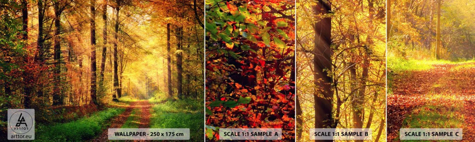 Fototapeta Próbka Samoprzylepna Deluxe Sticker - Leśno-złota cisza - Krajobraz, Las, Leśna Droga - 100x30 cm