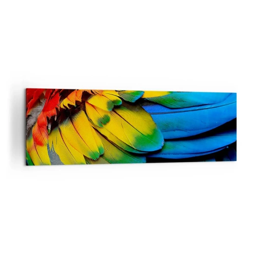 Obraz na płótnie - Kolorowe pióra papugi w zbliżeniu - 160x50cm - Rajski ptak - Nowoczesna dekoracja ścienna do salonu i sypialni ARTTOR