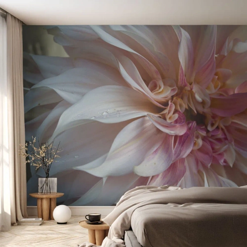 Fototapeta Premium Sand - Zbliżenie na różowo-kremowy kwiat z kroplami rosy - 100x70cm - Kwitnąca świeżość - Nowoczesna dekoracja ścienna do salonu, kuchni i sypialni ARTTOR