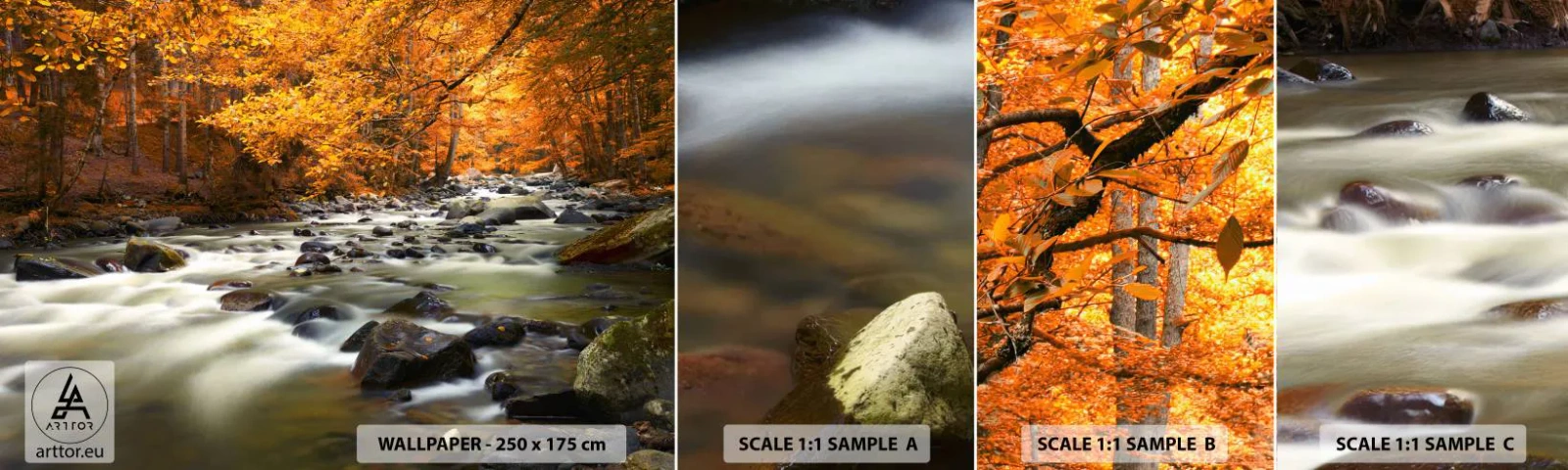 Fototapeta Próbka Standard Eco - Potok w złotym lesie - Krajobraz, Las, Strumień Górski - 100x30 cm