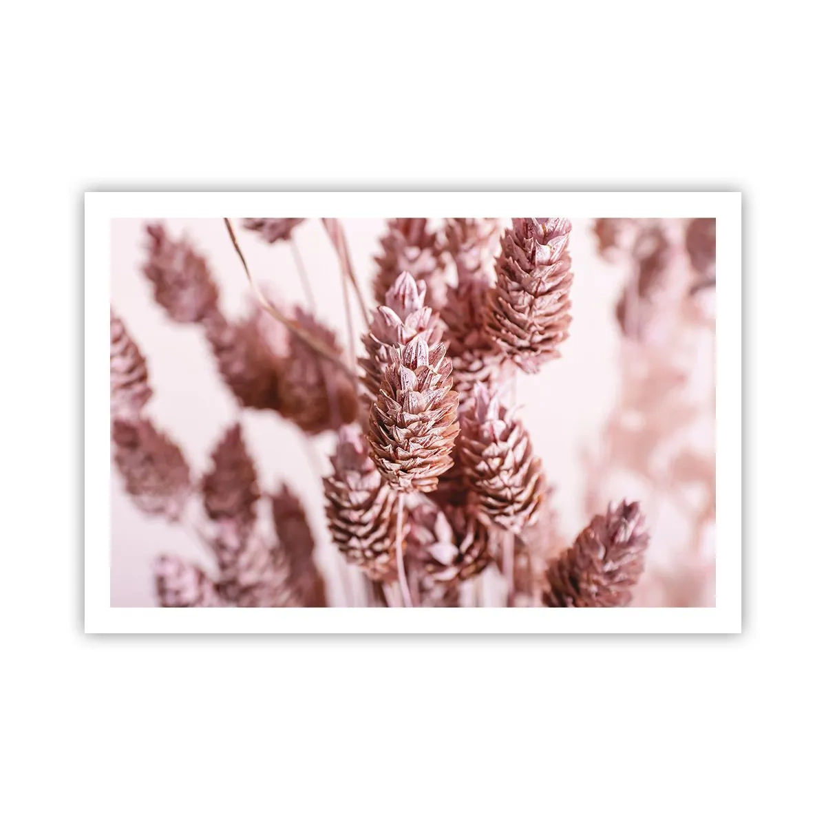 Plakat - Z pozoru niepozorne - 91x61 cm