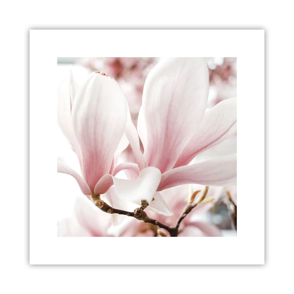 Plakat - Bezmiar czułości - 30x30 cm