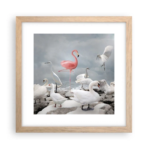 Plakat w ramie jasny dąb - Skąd się tu wziąłem? - 30x30 cm