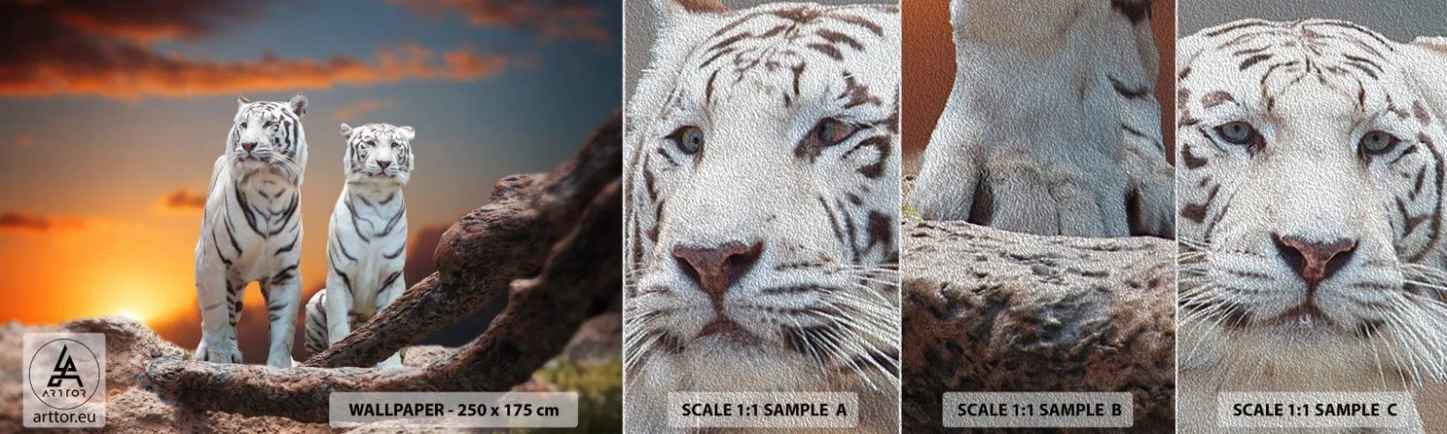 Fototapeta Próbka Premium Sand - Zupełnie jak w Narni - Zwierzęta, Tygrys, Zachód Słońca - 100x30 cm