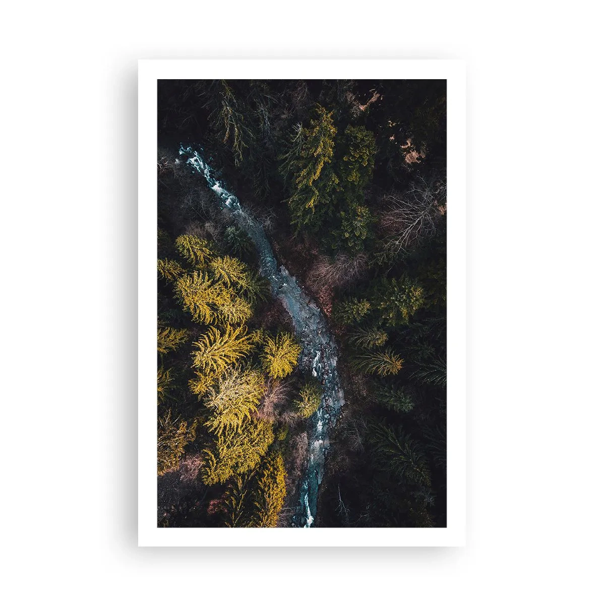 Plakat - Szybko, coraz szybciej - 61x91 cm