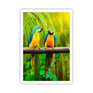 Plakat - A słyszałaś, że ona…? - 70x100 cm