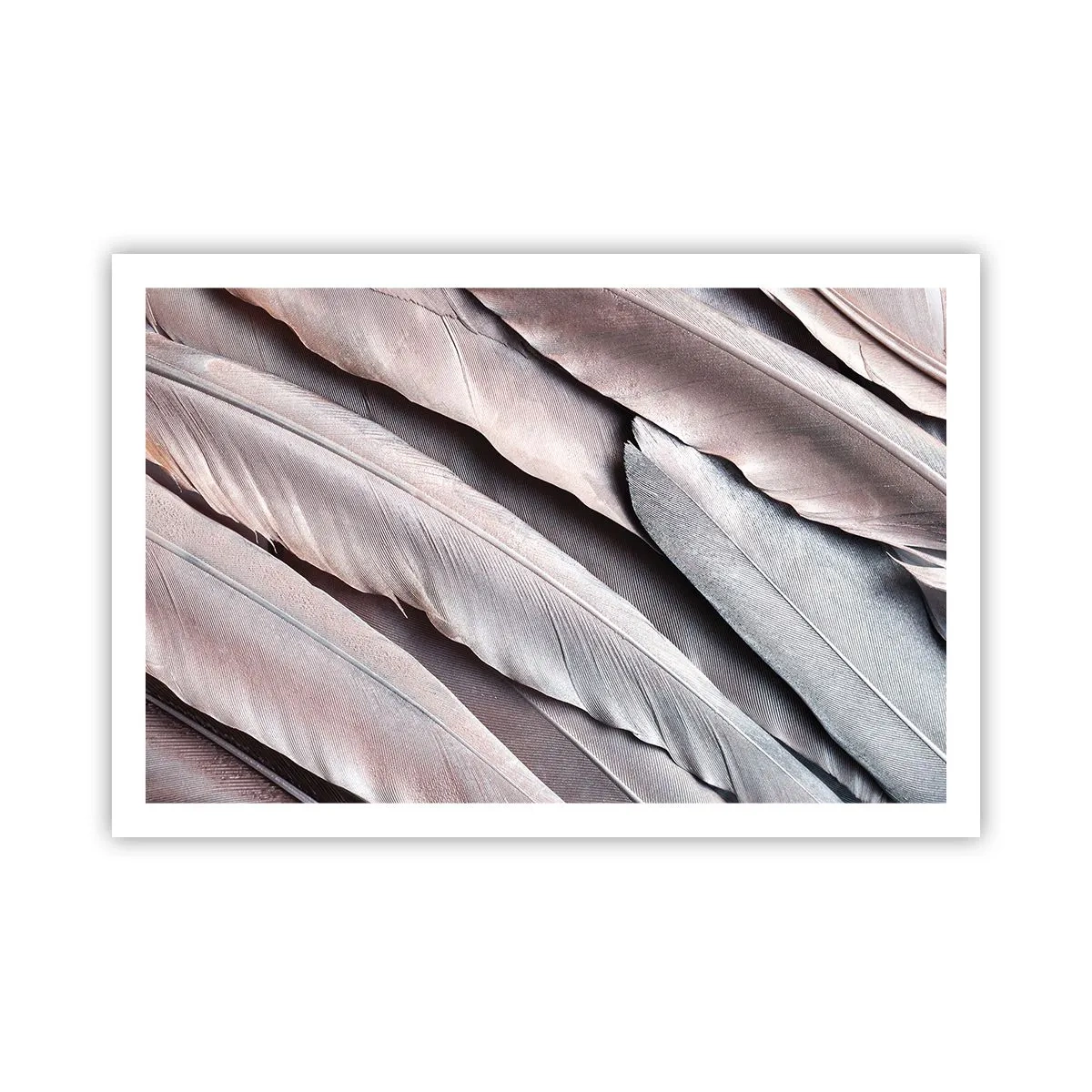 Plakat - W różowej srebrzystości - 91x61 cm