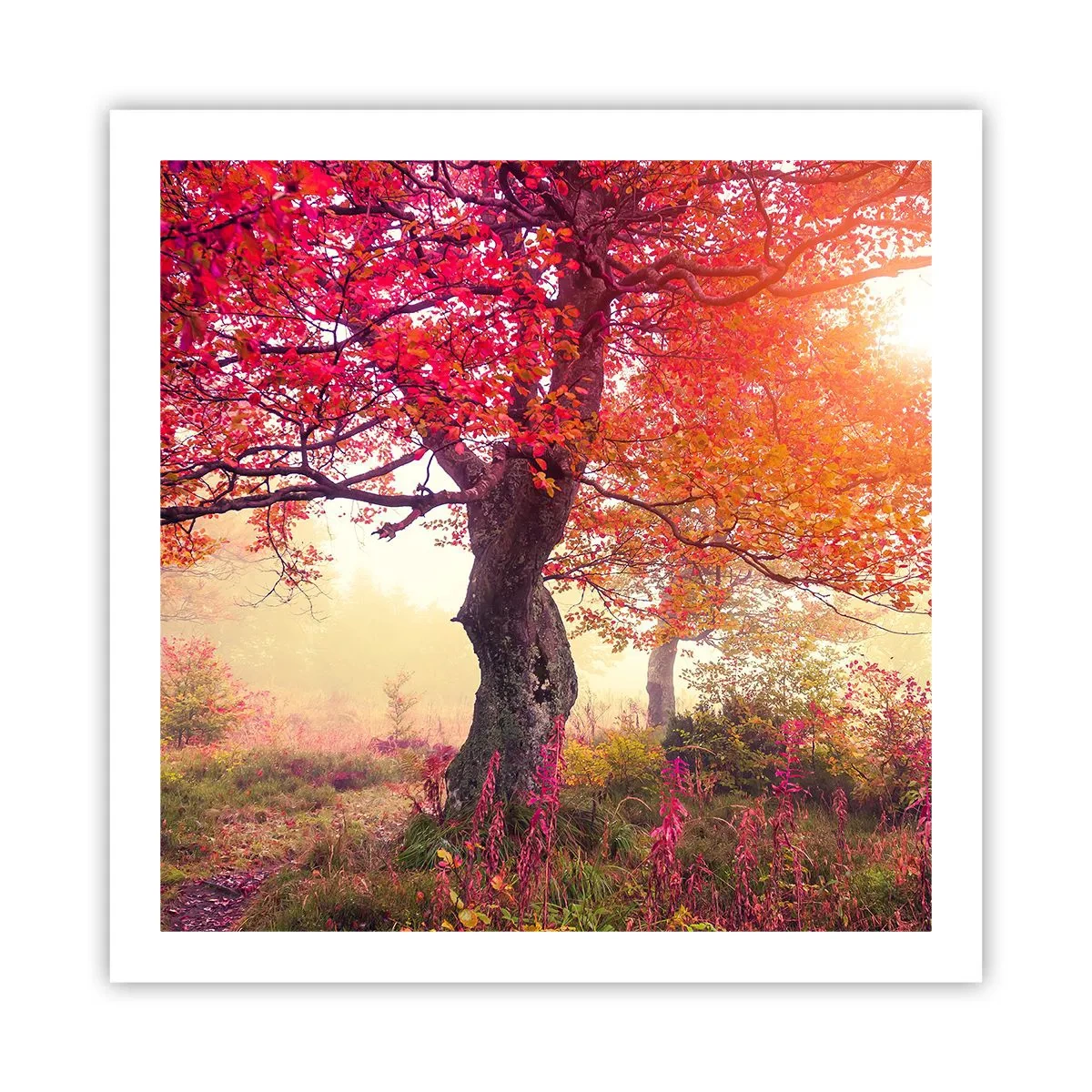 Plakat - Szał rozkwitu - 60x60 cm