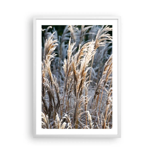 Plakat w białej ramie - Szronem ustrojone - 50x70 cm
