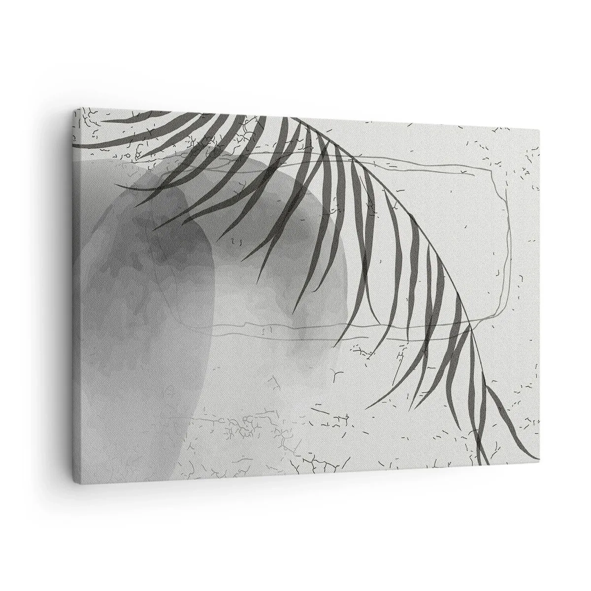 Obraz na płótnie - Delikatny motyw liścia palmy na jasnym tle w stylu skandynawskim - 70x50cm - Subtelna egzotyka natury - Nowoczesna dekoracja ścienna do salonu i sypialni ARTTOR