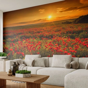Fototapeta na wymiar Premium Sand - Wśród fali łąk szumiących, wśród kwiatów powodzi - Krajobraz, Kwiaty, Maki