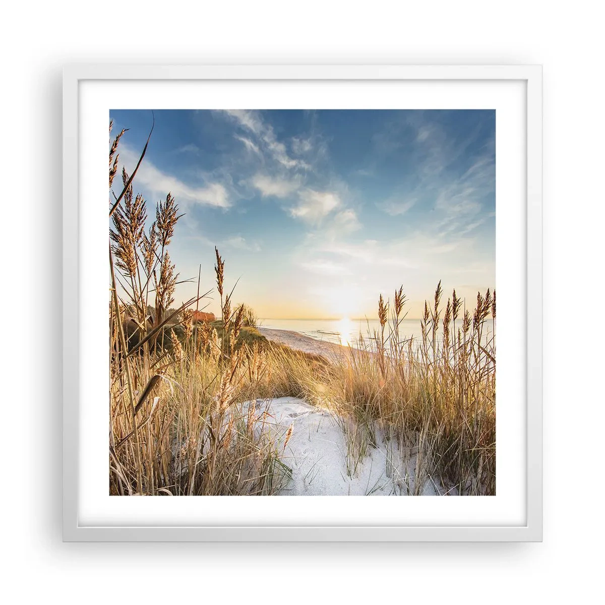 Plakat w białej ramie - Północna plaża - 50x50 cm
