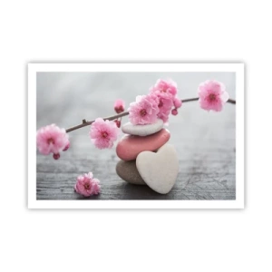 Plakat - Błogość z kwiatem wiśni - 91x61 cm