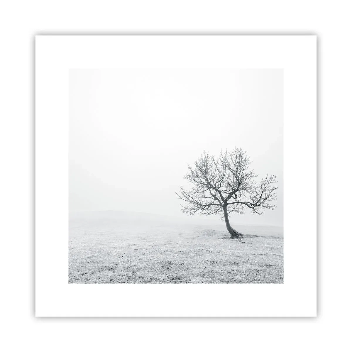 Plakat - Przeciw nicości - 30x30 cm