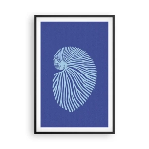 Plakat w czarnej ramie - Narodziny muszli - 61x91 cm