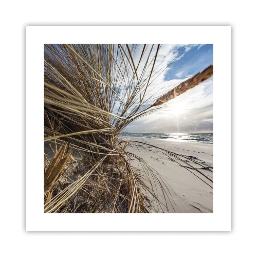 Plakat - Spotkanie żywiołów - 40x40 cm