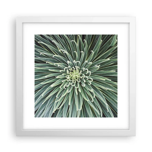 Plakat w białej ramie - Narodziny gwiazdy - 30x30 cm