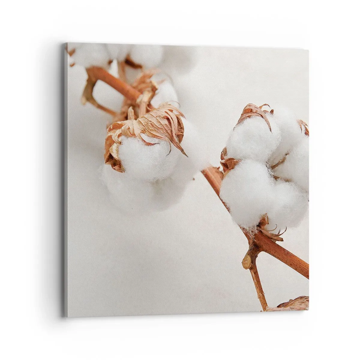 Obraz na płótnie - Tylko tulić - 70x70 cm