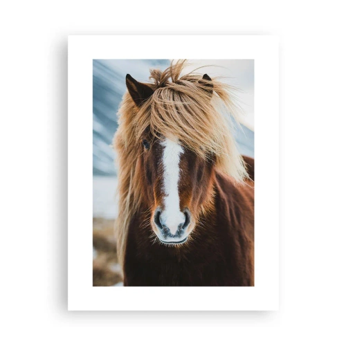 Plakat - Czujesz wolność? - 30x40 cm