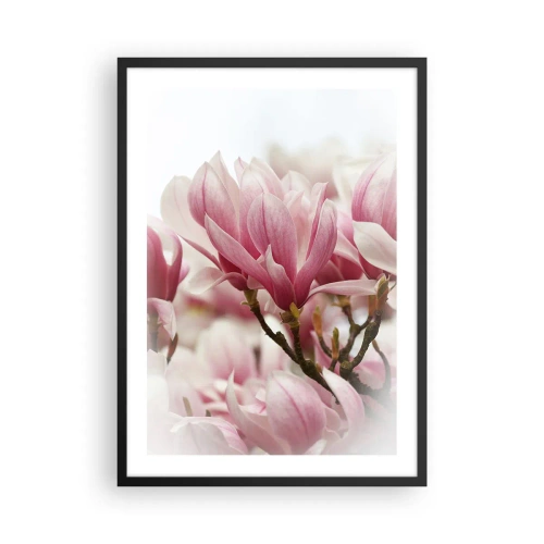 Plakat w czarnej ramie - Kwiaty wiosny - 50x70cm - Kwiaty wiosny - Nowoczesna dekoracja ścienna do salonu i sypialni ARTTOR