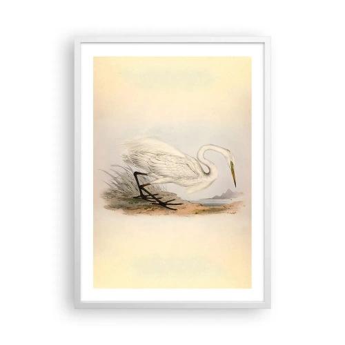 Plakat w białej ramie - Pani na szuwarach - 50x70 cm