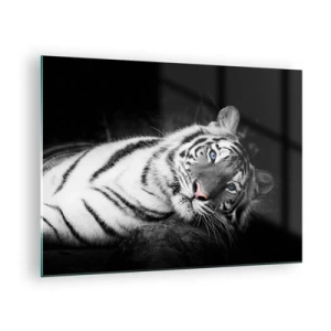 Obraz na szkle - Biały tygrys z niebieskimi oczami w czarno-białej scenerii - 70x50cm - Dzikość i spokój - Nowoczesna dekoracja ścienna do salonu i sypialni ARTTOR